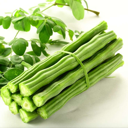 Drumstick (Moringa)